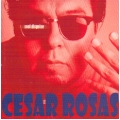 Cesar Rosas - Soul Disguise